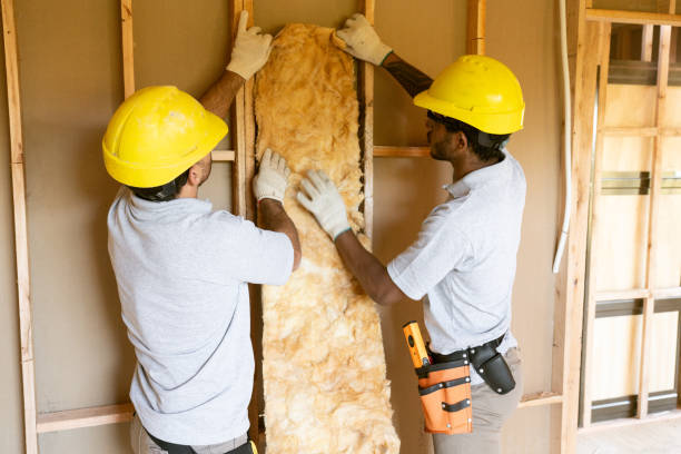 Best Energy-efficient Insulation  in Reed Creek, GA
