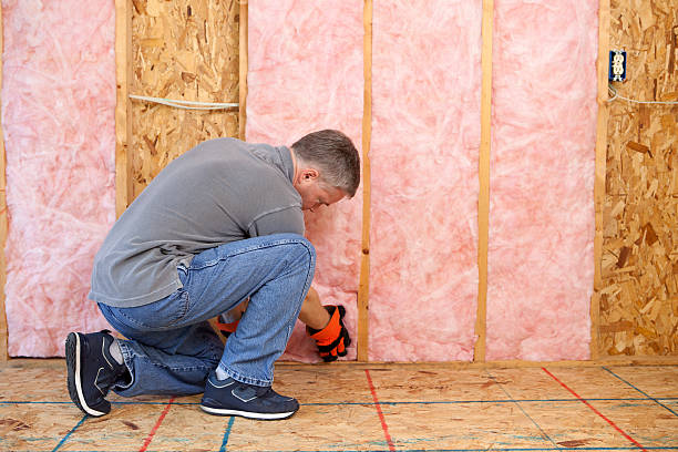 Best Crawl Space Insulation  in Reed Creek, GA