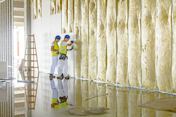 Best Attic Insulation Installation  in Reed Creek, GA